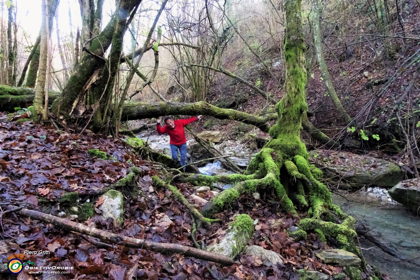 24 Nel torrente vegetazione in...umido.JPG